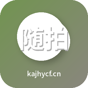 随拍视界